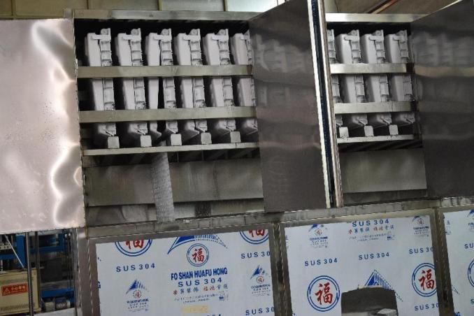 5Ton Industrial type Cube ice 3