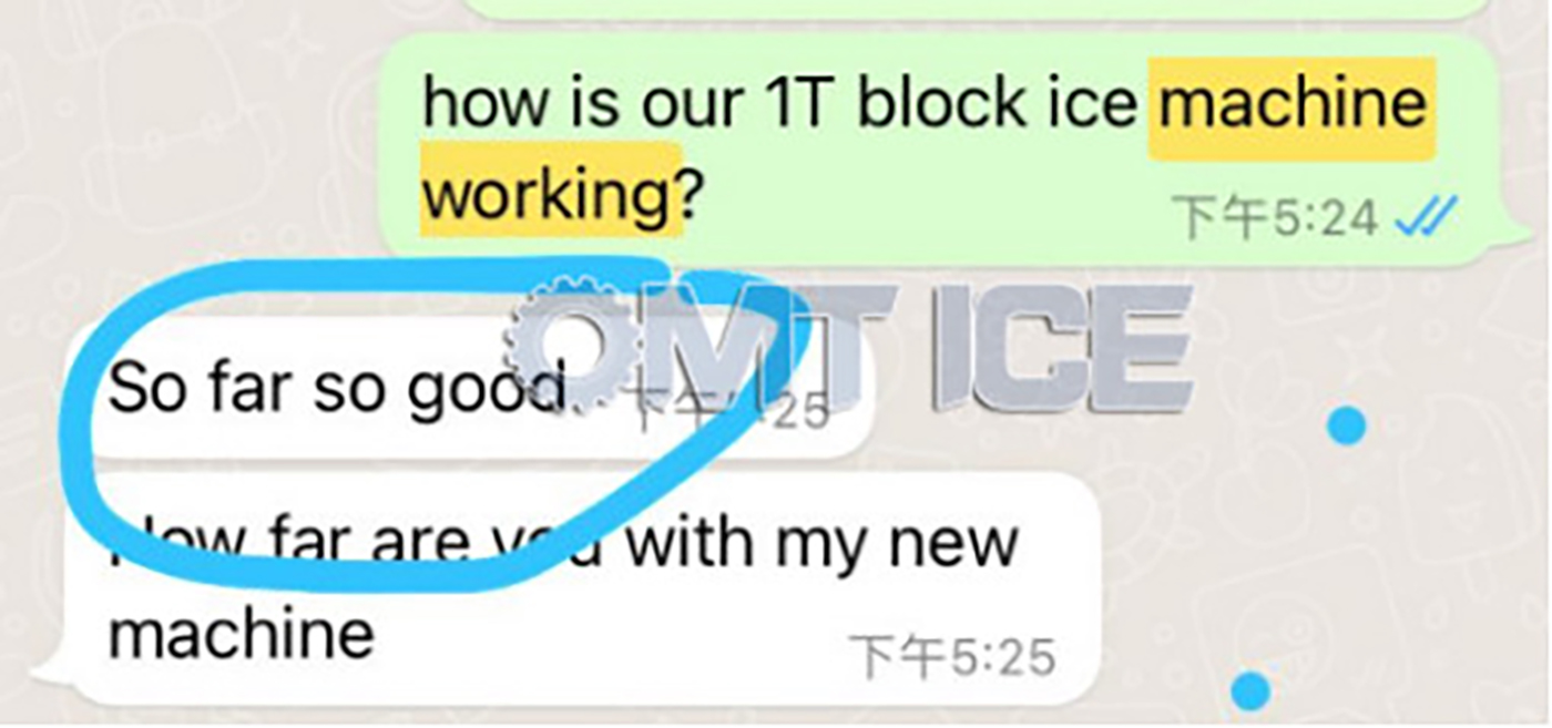 OMT 1T block ice machine 6